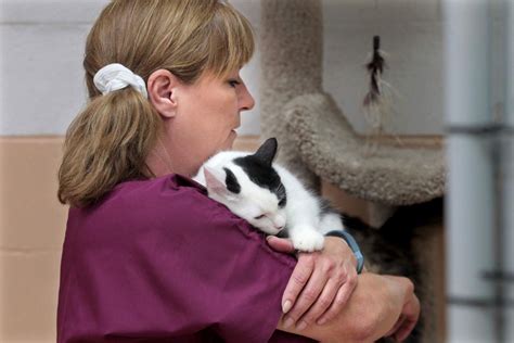city of bakersfield animal care center|Animal Care Center .